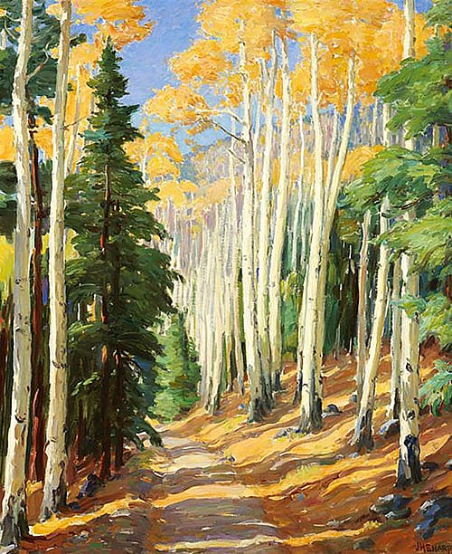 Road through Aspen Forest